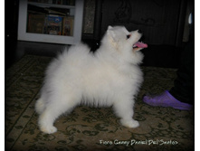 DSCN1591.jpg