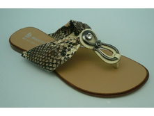 ���� ������� ���.���� �������