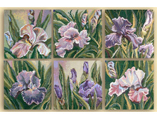 ������-��������� ����� �������� �������� 6 ��.