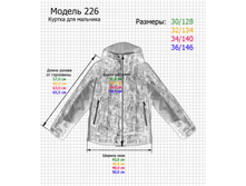 ��������� ������ 226