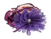 ������� 29 �