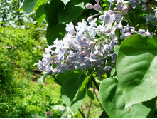 �������+