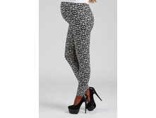 ������� ��������