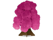 �������� ������ ������� ����	122	���