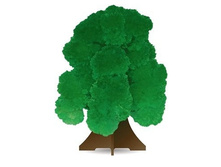 �������� ������ �������  122  ���