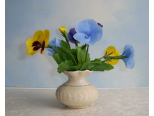 ������ �� ��