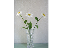 P������ �� ��