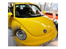 �������� �� ������������� ����, ���� 200�