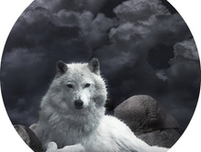 �������� �� �������� ������, ���� 650���