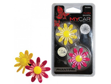 ������������ �����, ������ ������, 90���