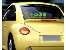 �������� ��������� ����, 220���