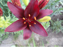 ���� ����.JPG