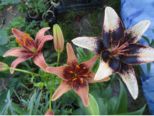 ���� ���� , ����� �������.JPG