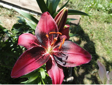 ������ �� .JPG