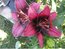 ������ ��.JPG