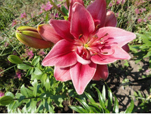 ����� 1.JPG