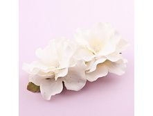 ������� �����,119 ���..jpg