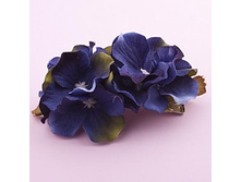 ������� ����, 119 ���..jpg