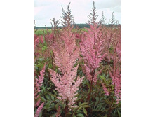 ��� �� �� +22�