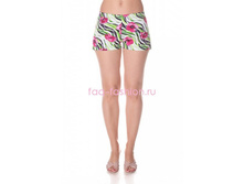 ����� \\\"�����\\\" ������� Sh2-4