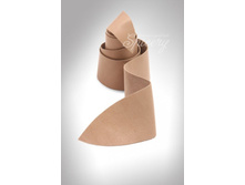 ���� �������