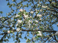 ������ � �����