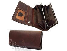 671503/2 ������� ���� �������