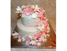 2 ����� �����.jpg