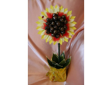 ���������� �� ������ ��������� 800�