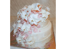 � �������.jpg