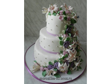 ��������� � ������� � ��������� � ����������.jpg