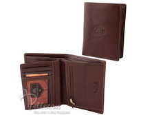 331238/2 ������� ���� �������