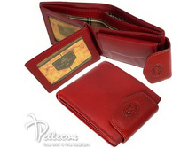 331217/4 ������� ���� �������