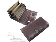 331116/2 ������� ���� �������