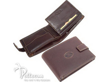 331036/2 ������� ���� �������