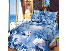 ������ ������.jpg