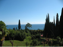 ����� ����_6