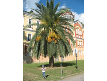 ����� ����_5