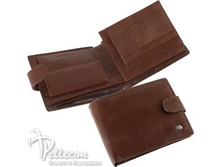 37001-04901/����� �������� ����� ������