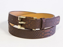 B0120   290���