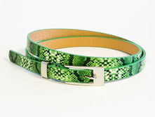 B0121   260���