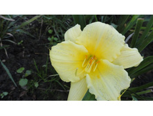 �������� ������ ��������