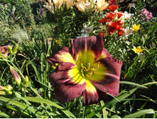 �������� ���� �����  (Night Beacon)