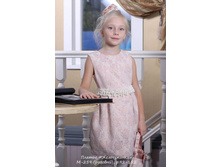 �-259 ����������