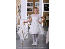 �-330 ��������