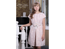 �-337 ����