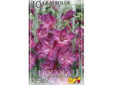 500x500.82740 glad chocolate.jpg