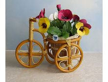 ������� ������