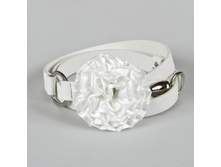 ������ DISPACCI 1145 ����� 280,0.jpg