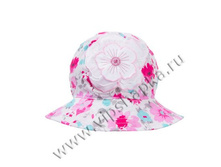 INESA ������ PLATEK.jpg